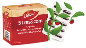 Stresscom-Uzbek-box-with-leafs